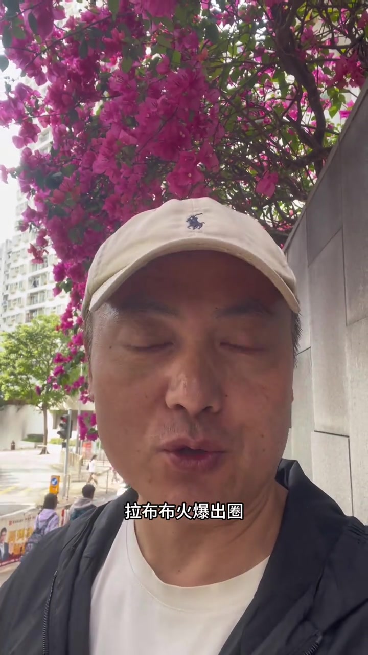 香港花开满枝头,河南胡辣汤开道