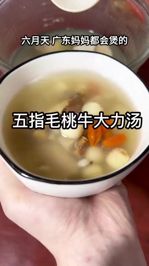 广东妈妈都会煲的五指毛桃牛大力汤