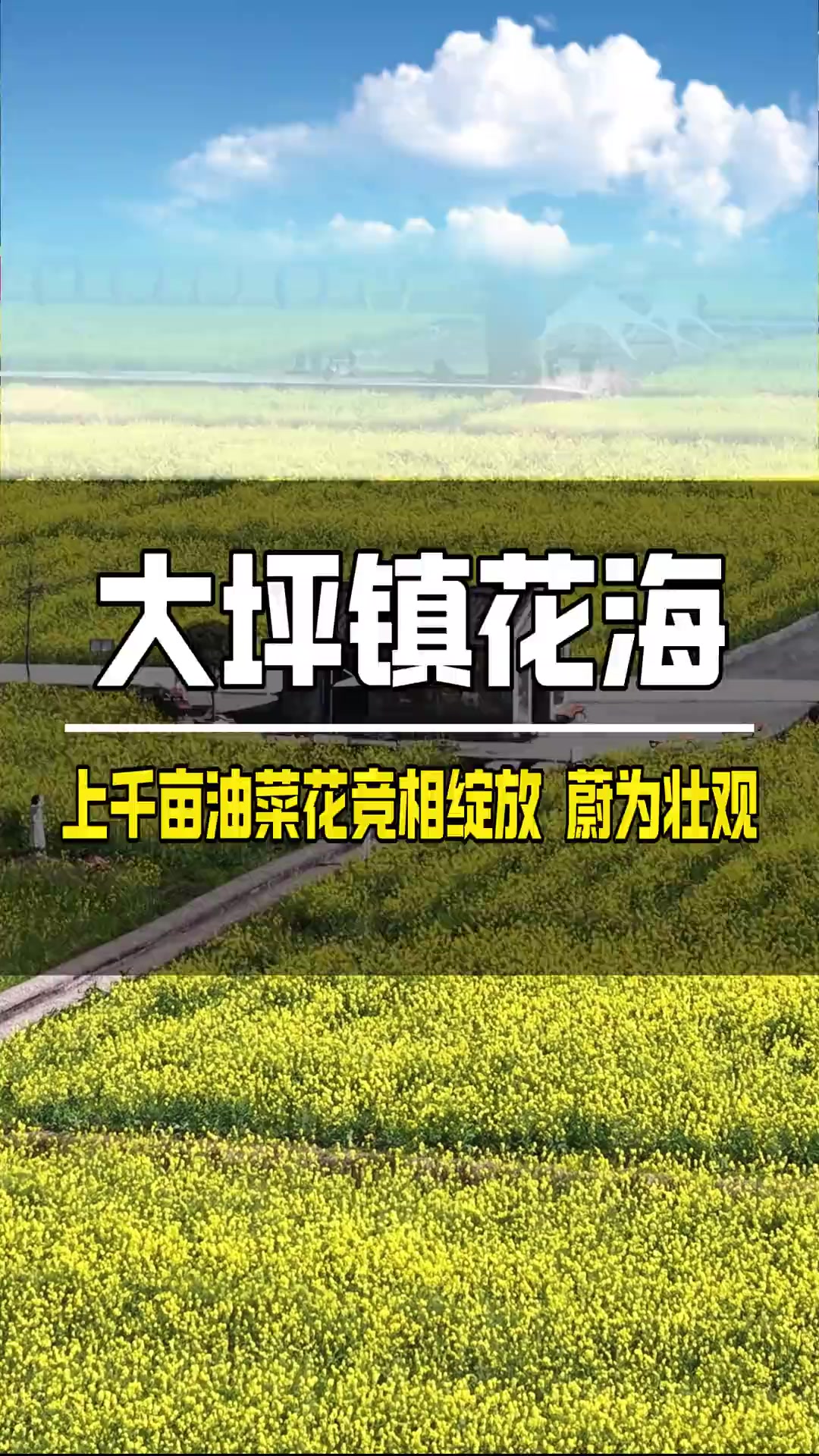 郴州汝城县大坪镇,千亩油菜花海,蔚为壮观