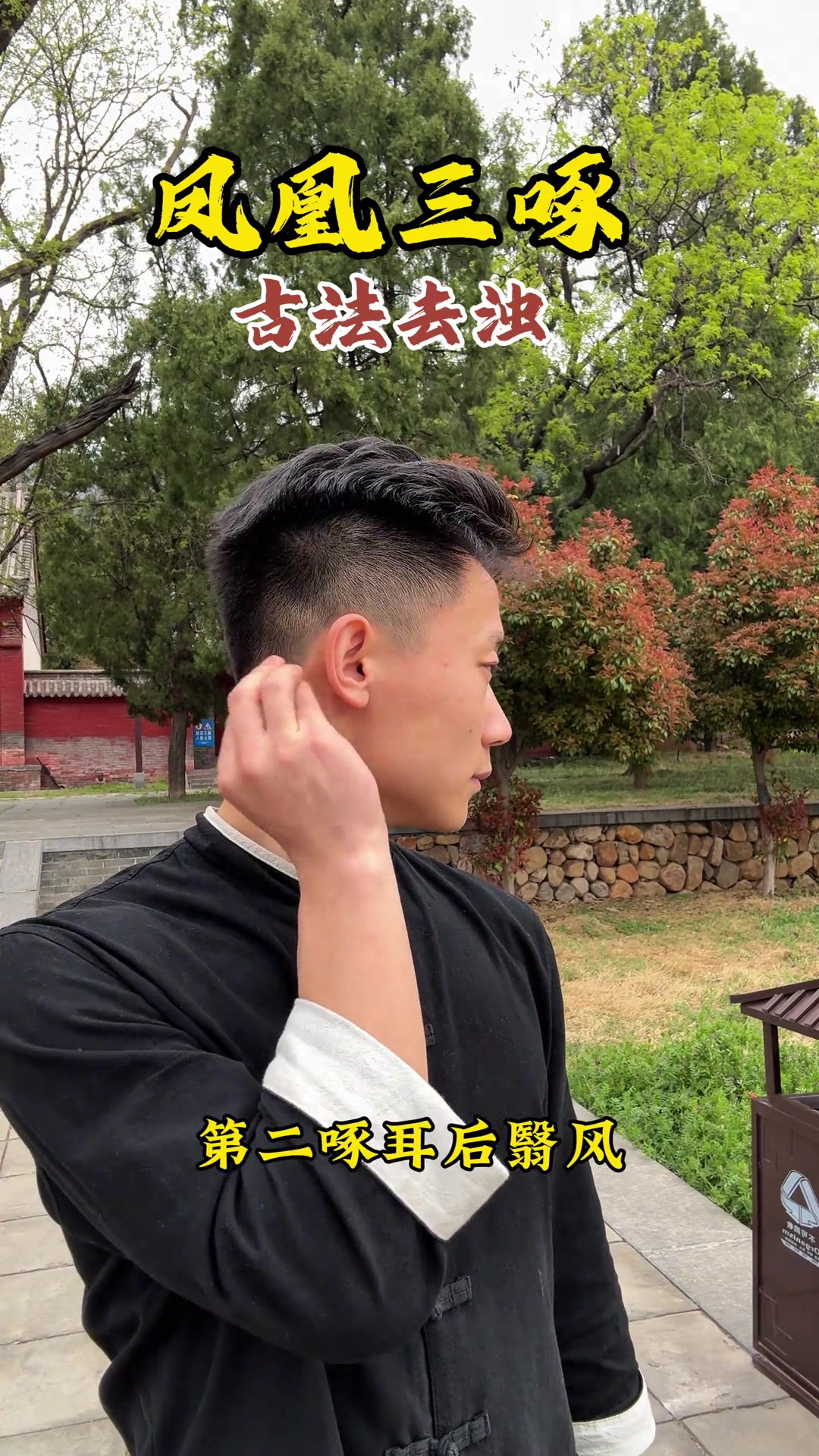 凤凰三啄，适合全年龄段的养生锻炼动作
