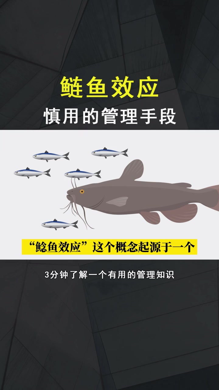 教育里用鲶鱼效应得谨慎点