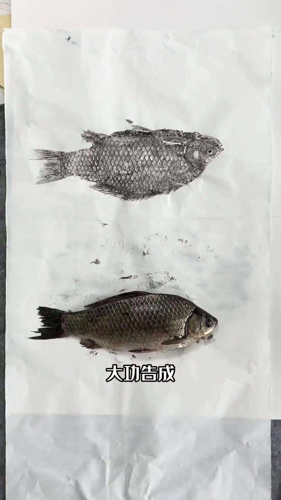 水墨大鲫鱼的画法，新手也能跟着学