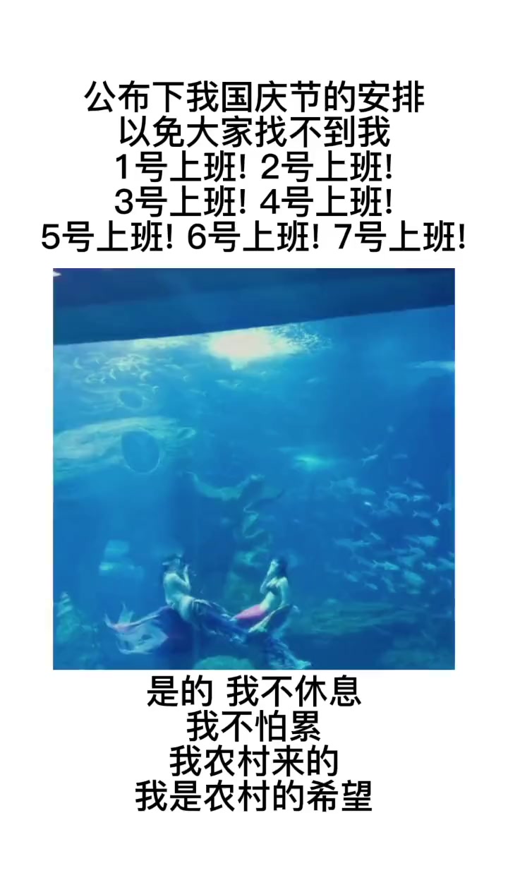 #贵州极地海洋世界#美人鱼