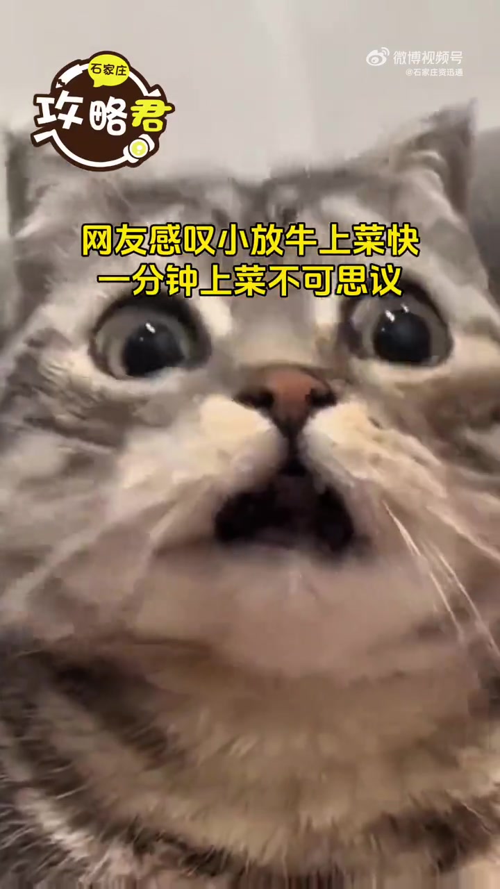 #石家庄资讯通# 网友感叹小放牛上菜快,一分钟上菜不可思议