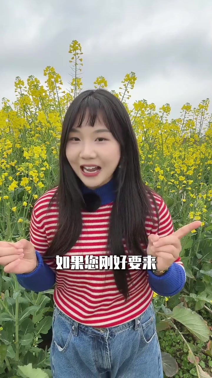 江西春季赏花攻略,婺源油菜花随手出片