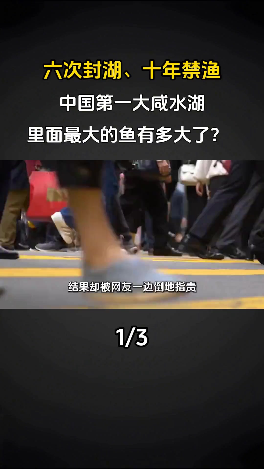 六次封湖、十年禁渔,中国第一大咸水湖,里面最大的鱼有多大了