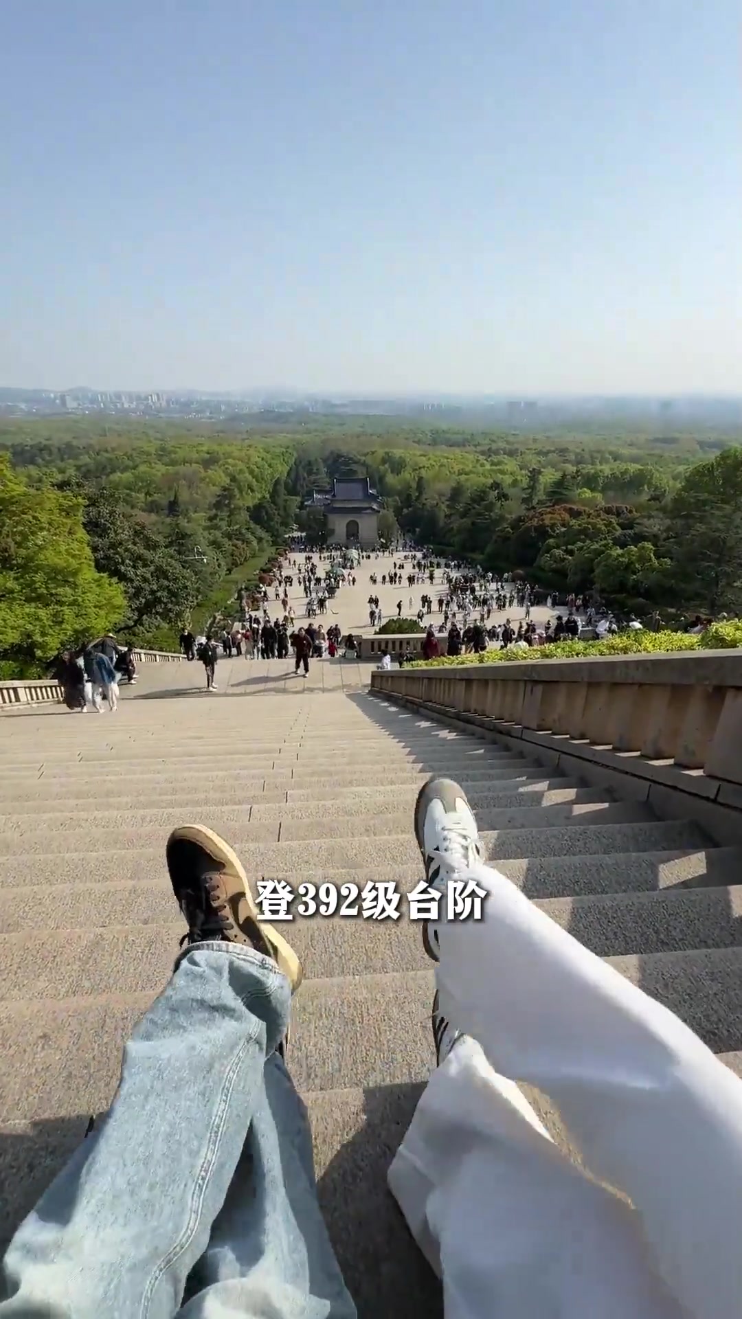 南京樱花季美到封神,来玩都不用做计划