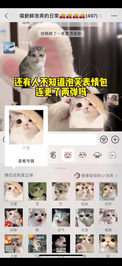 泡芙表情包更新啦！