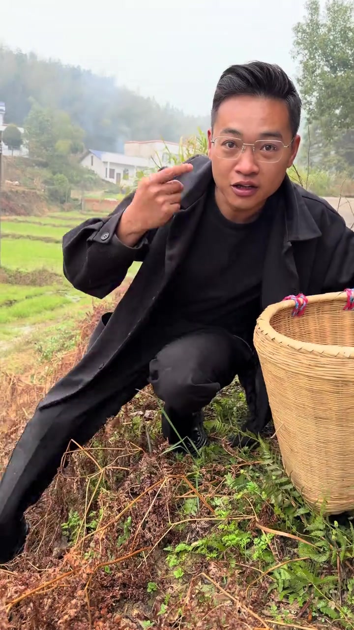 春雨过后不去挖蕨菜,那可真是错过整个春天