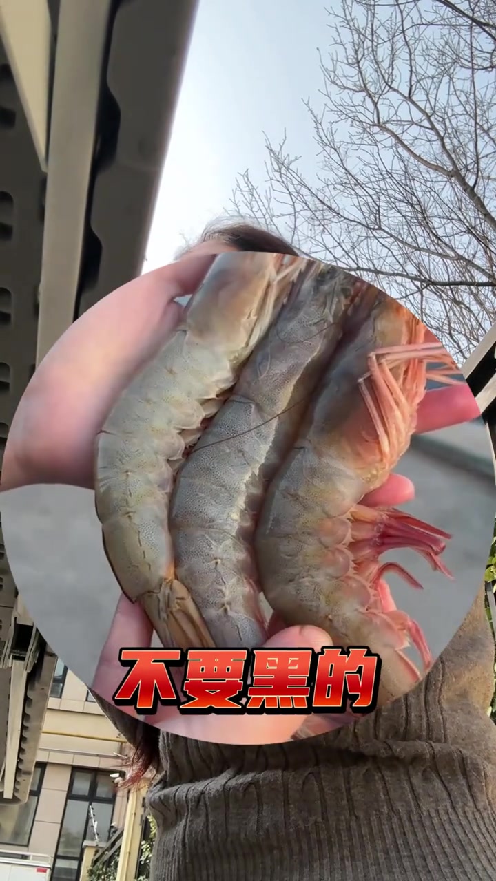 原产地青岛大虾福利