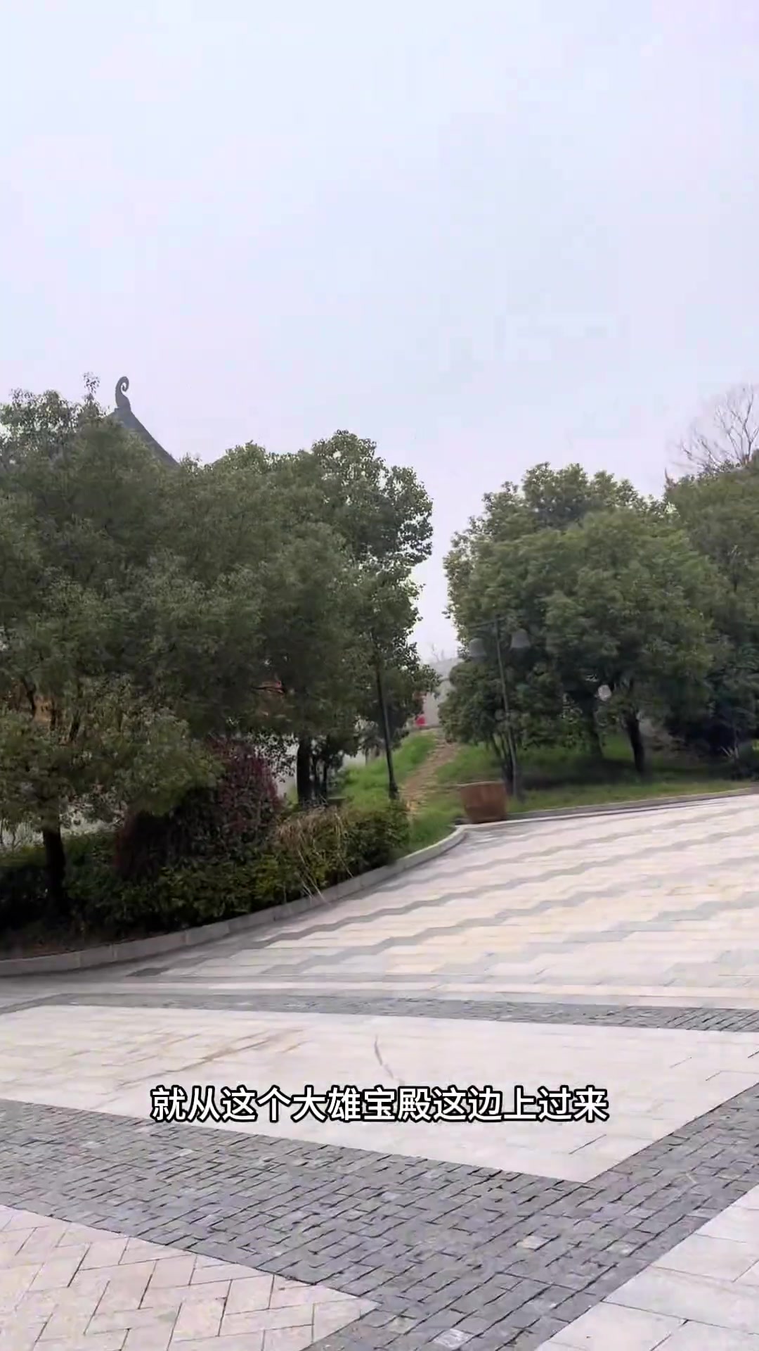 蚌埠栖岩寺的素斋味道怎么样?