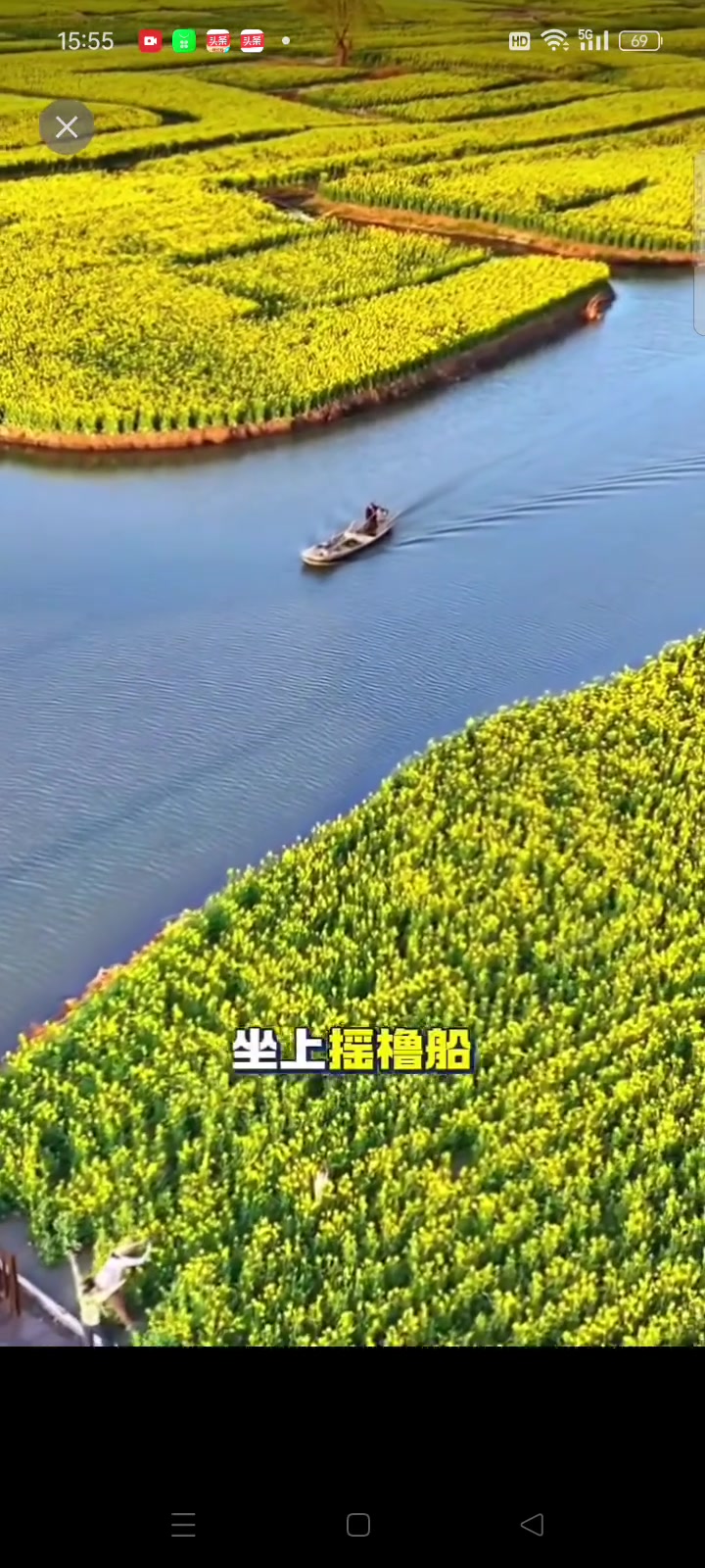 兴化千垛油菜花开啦,现在去旅游正合适