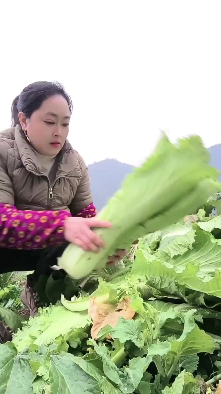 纯天然绿色蔬菜