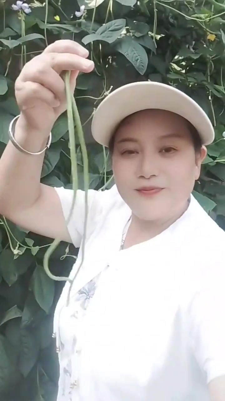 我家小菜园纯天然绿色蔬菜