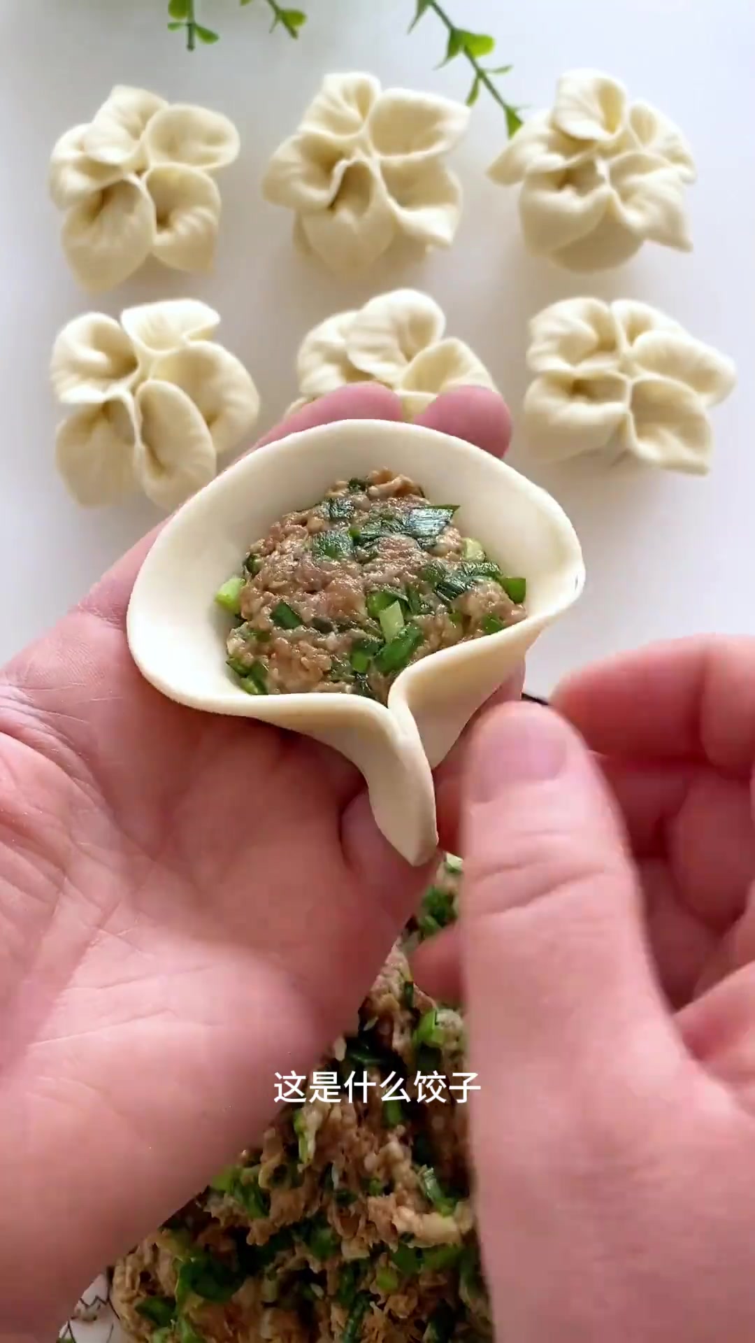 16种饺子包法详细教,一看就会