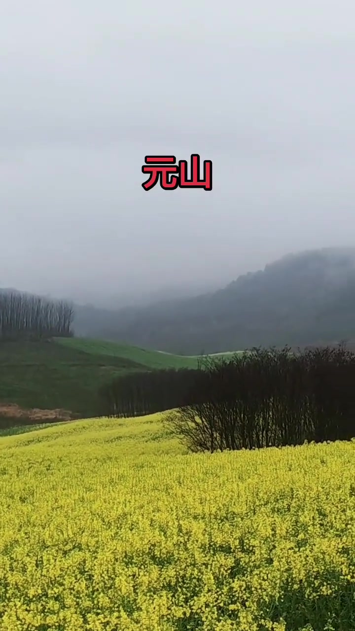 汉中勉县元山油菜花美翻了