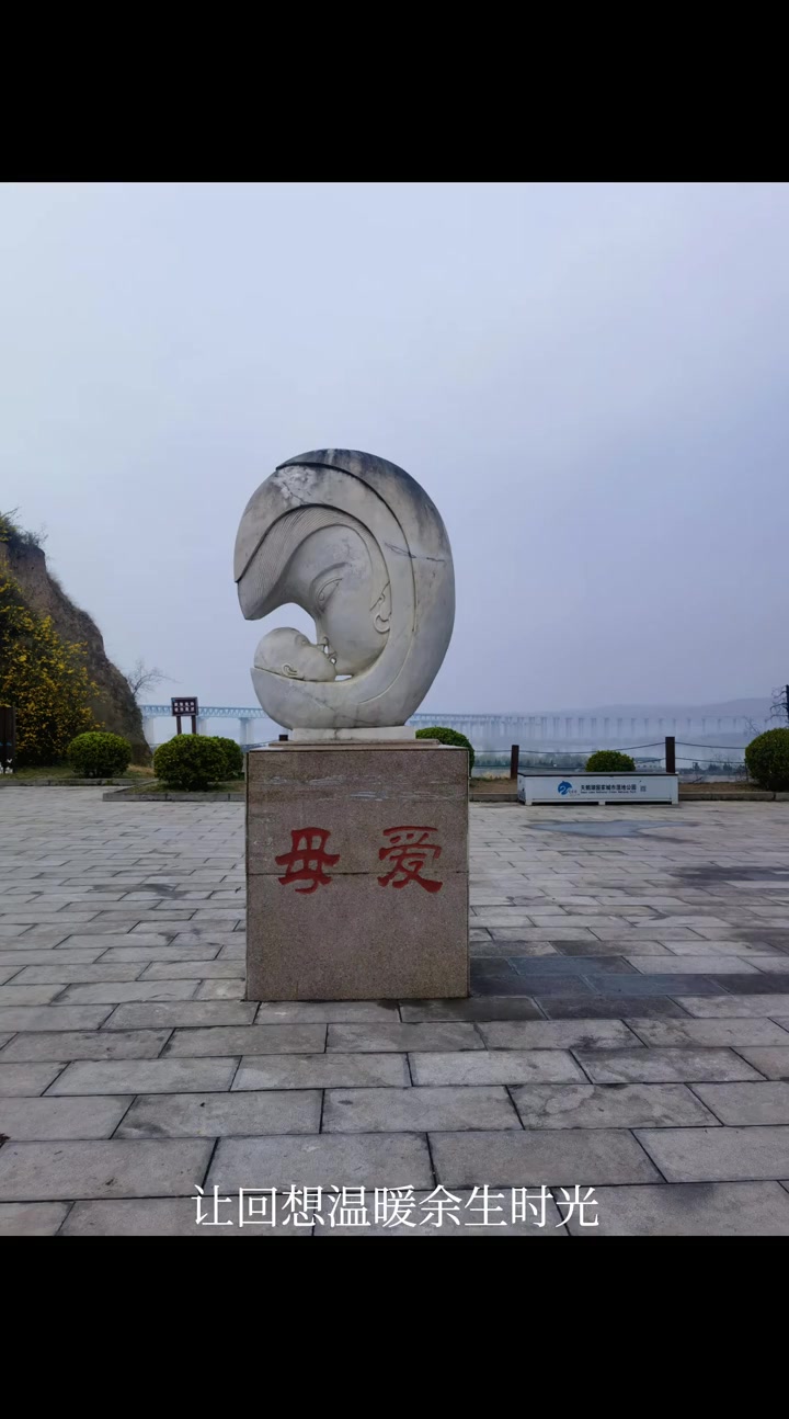 三门峡天鹅湖冬日万只天鹅美翻了