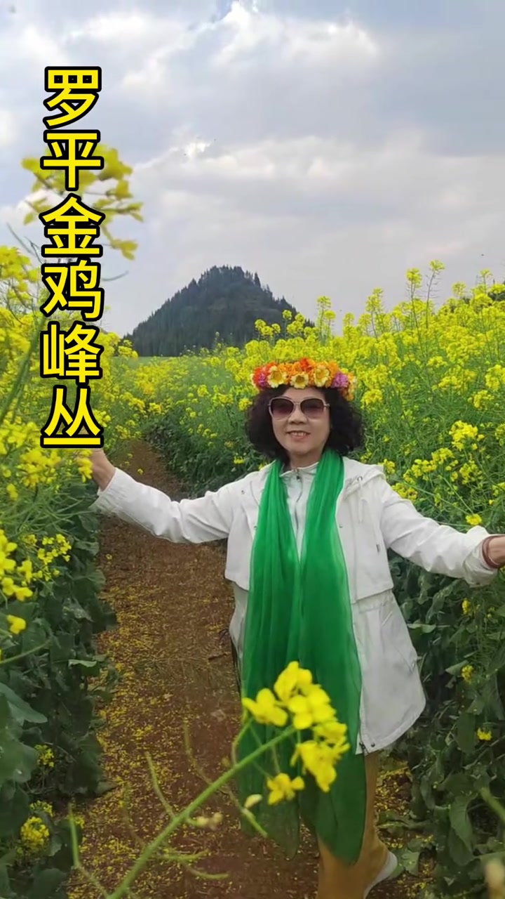 云南罗平金鸡峰丛万亩油菜花田超美