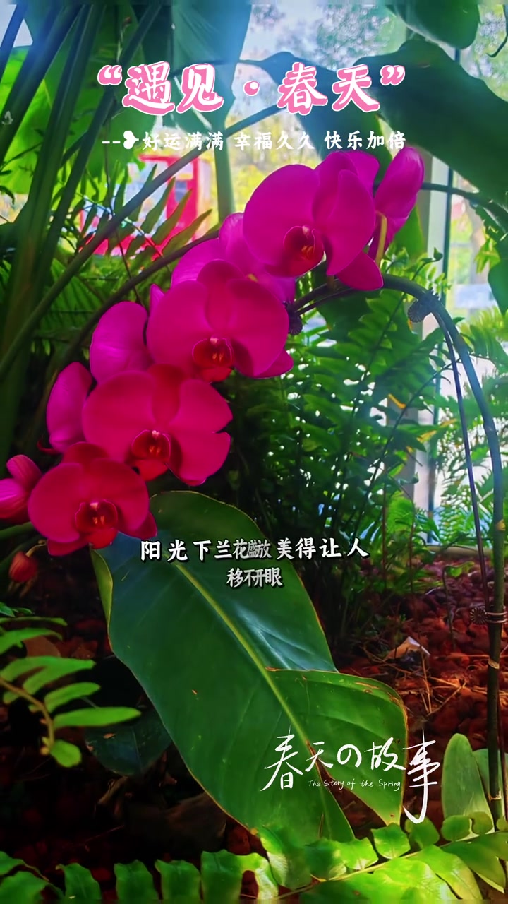 心情差的时候去福州三江口植物园看花逛园