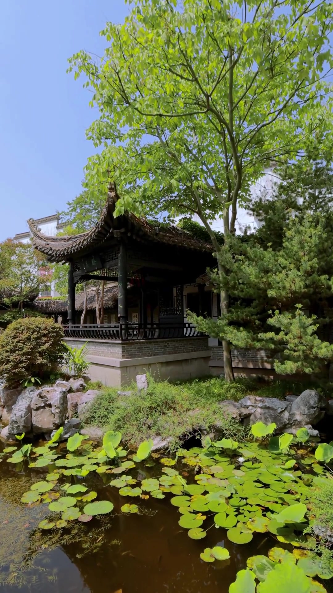 两份兴化春季一日游攻略,春天去玩正好