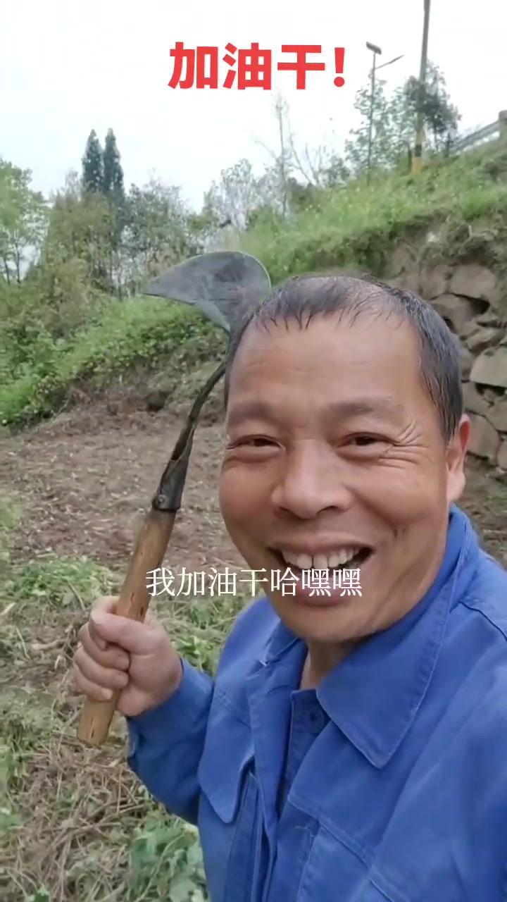 把这块荒废了很多年的地开出来种菜，加油干！