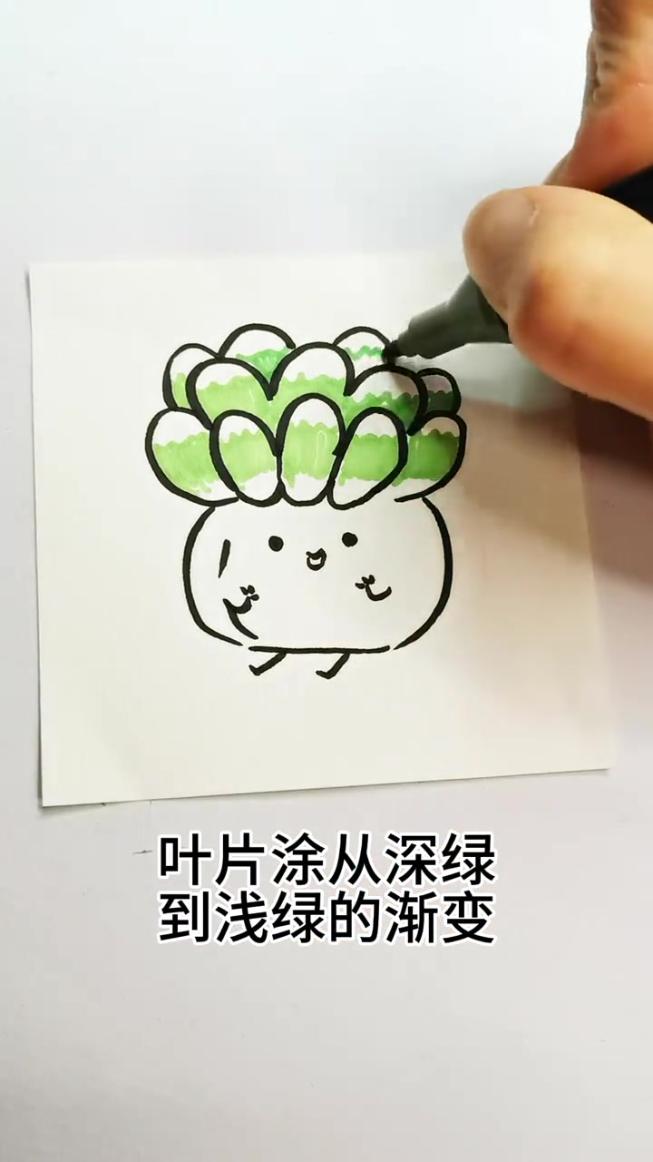 7步教你画超萌玉露多肉 零基础也能学会
