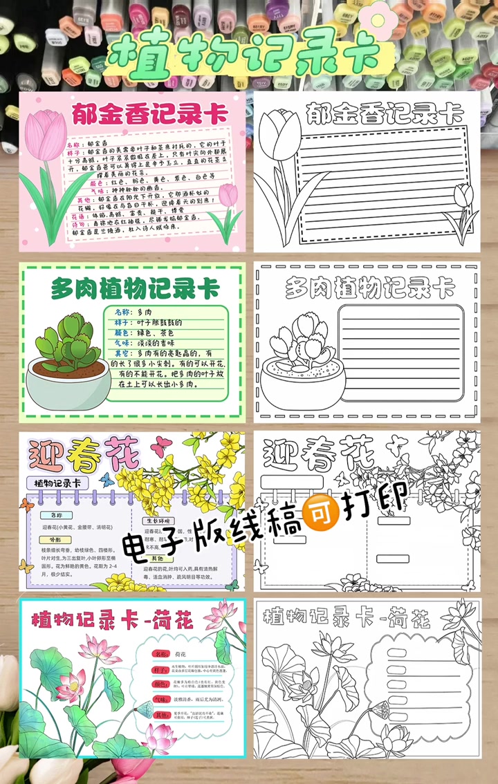 植物记录卡手抄报电子版线稿可打印