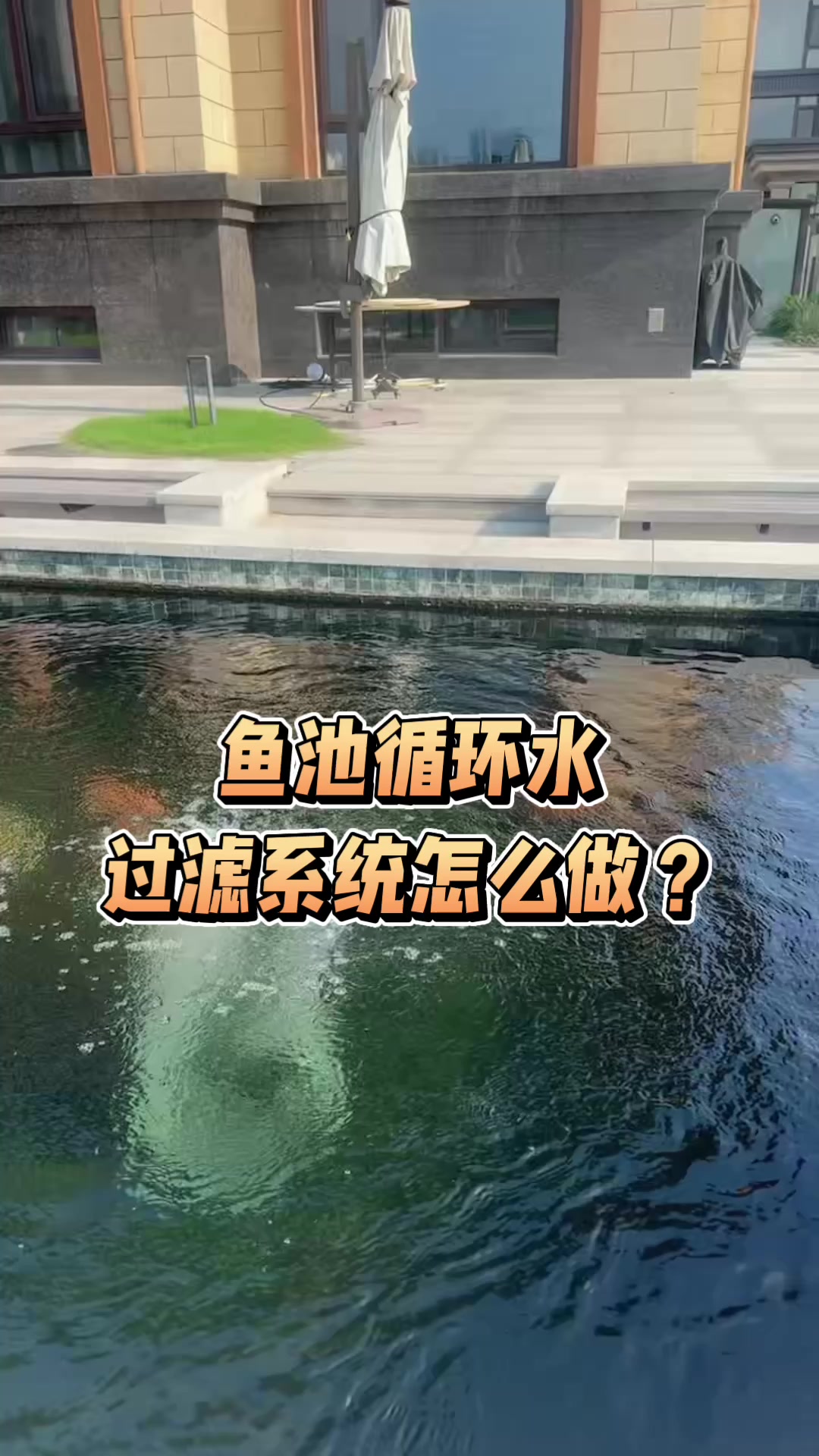 鱼池水循环过滤系统怎么做?