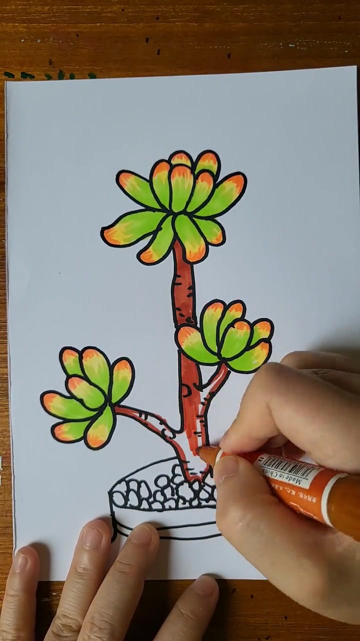 超可爱多肉盆栽简笔画，简单几步就能画