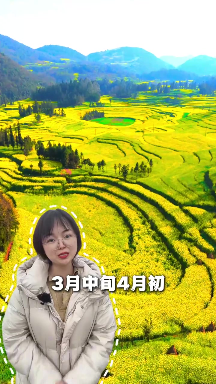 婺源油菜花啥时候开最艳?江西观赏时间
