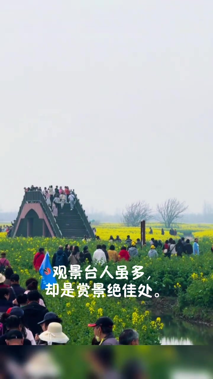 江苏泰州兴化千垛的万亩油菜花太绝了