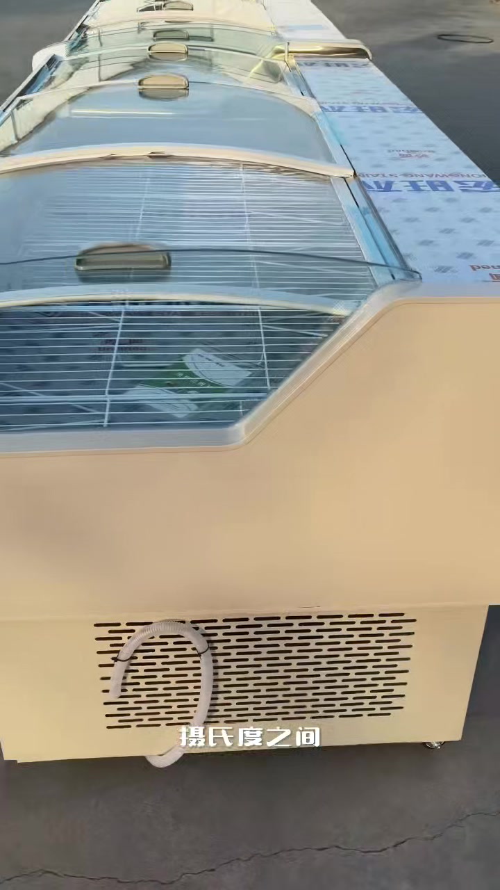 商用冰箱鲜肉展示柜