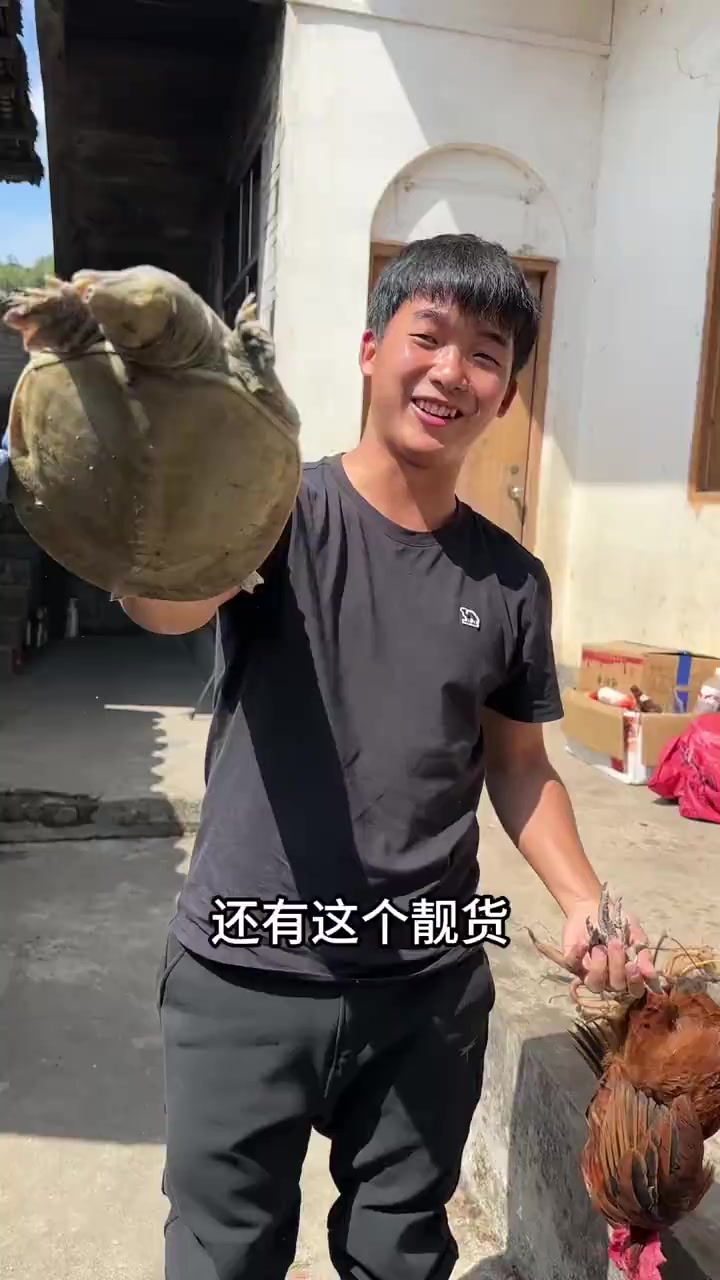 昨天辛苦挖一天山货,今天必须喝一下它的原汁原味,甲鱼煲鸡加上五指毛桃,牛大力,土茯苓,煲出