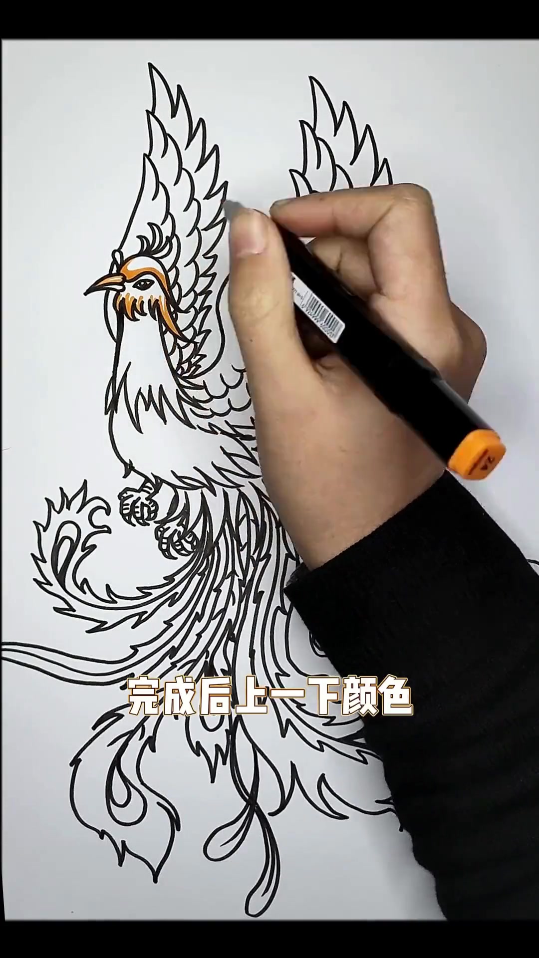 小朋友真能画出凤凰简笔画吗?