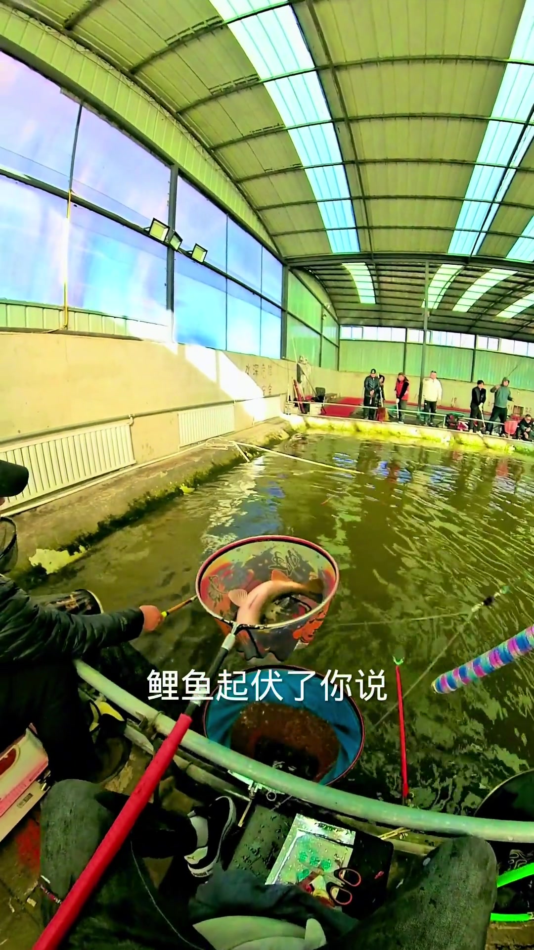 钓鱼新手入门教程,基础技巧一看就会