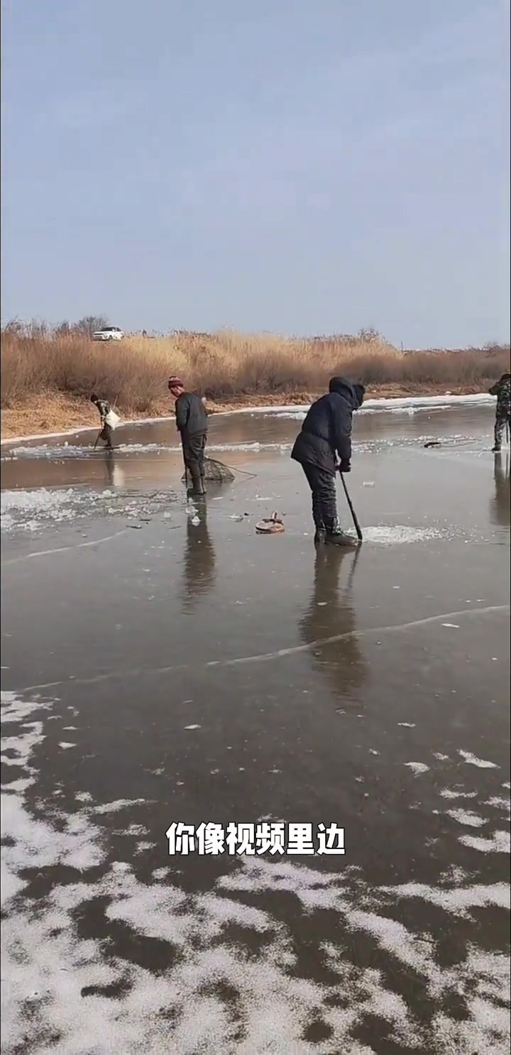 饮马河捋钩锚鱼是古老传统鱼猎文化吗?