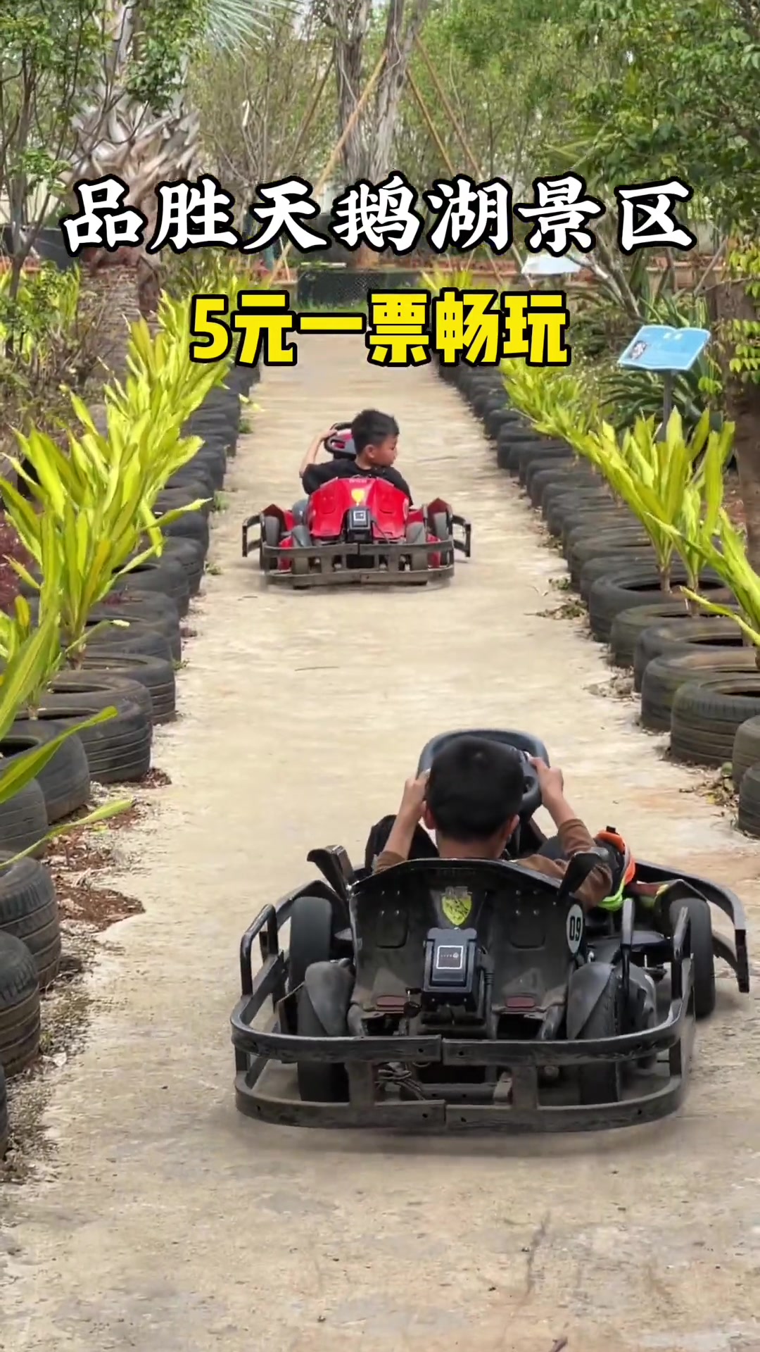 湛江品胜天鹅湖5元遛娃 吃喝玩乐全搞定!