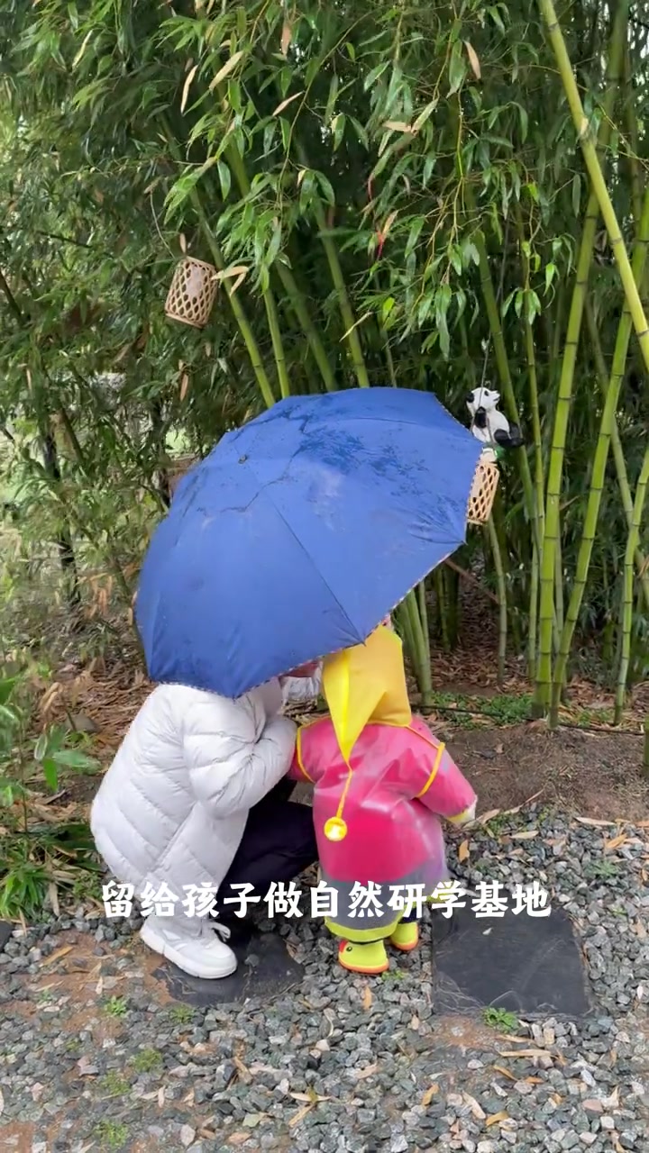 西安小新村项目要开啦,温泉度假村值得期待