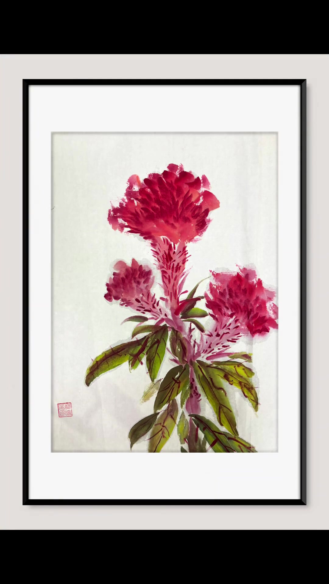 画鸡冠花送祝福,新设备拍视频不晕车