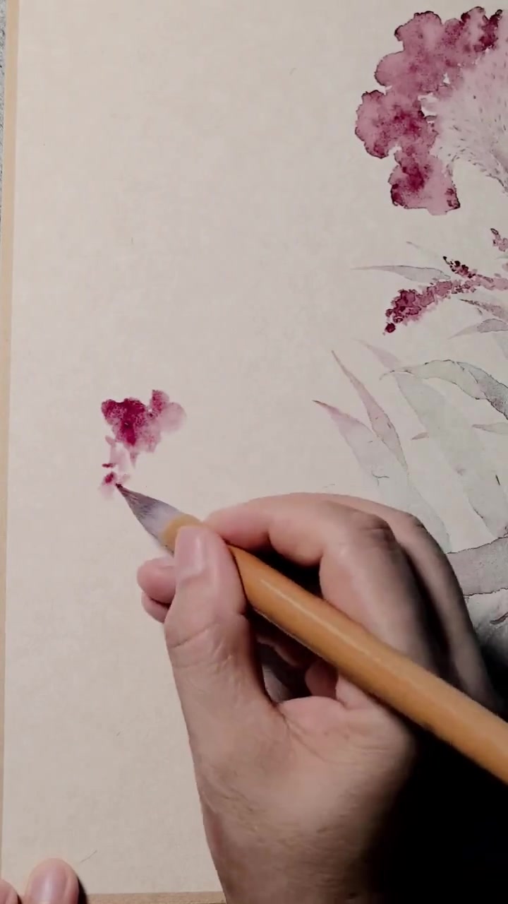 零基础学没骨画,轻松画鸡冠花
