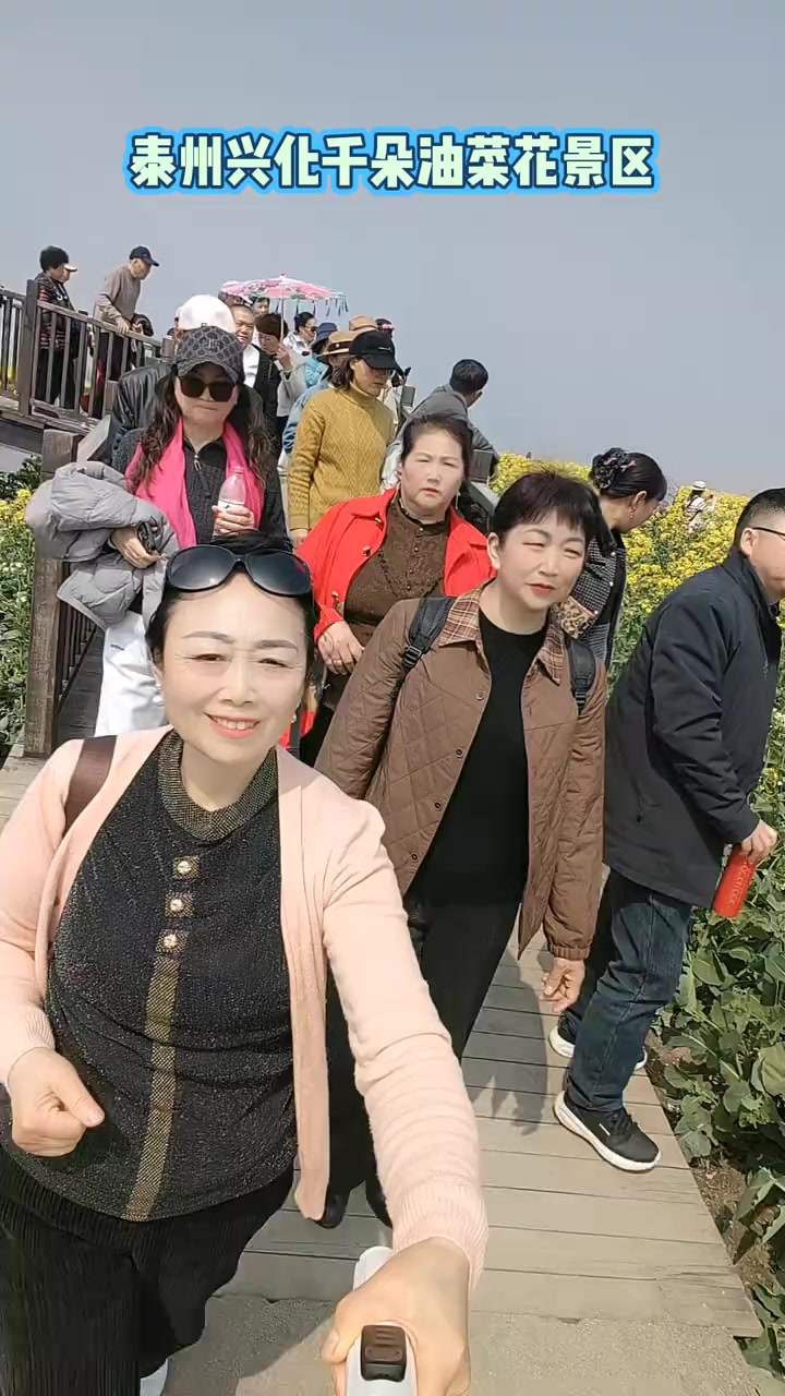 泰州兴化千垛油菜花海，人在花里笑超惬意