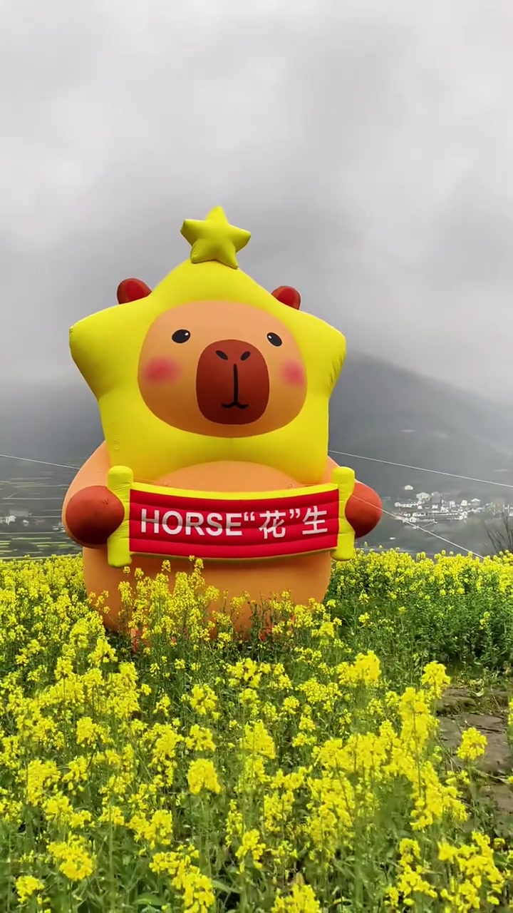 覆卮山油菜花这周最佳！下雨也挡不住它的美