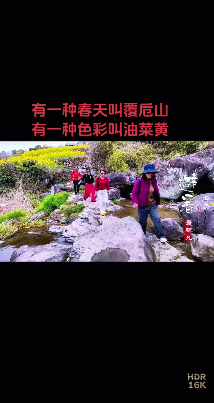 绍兴覆卮山春日梯田油菜花，金色花海超惊艳
