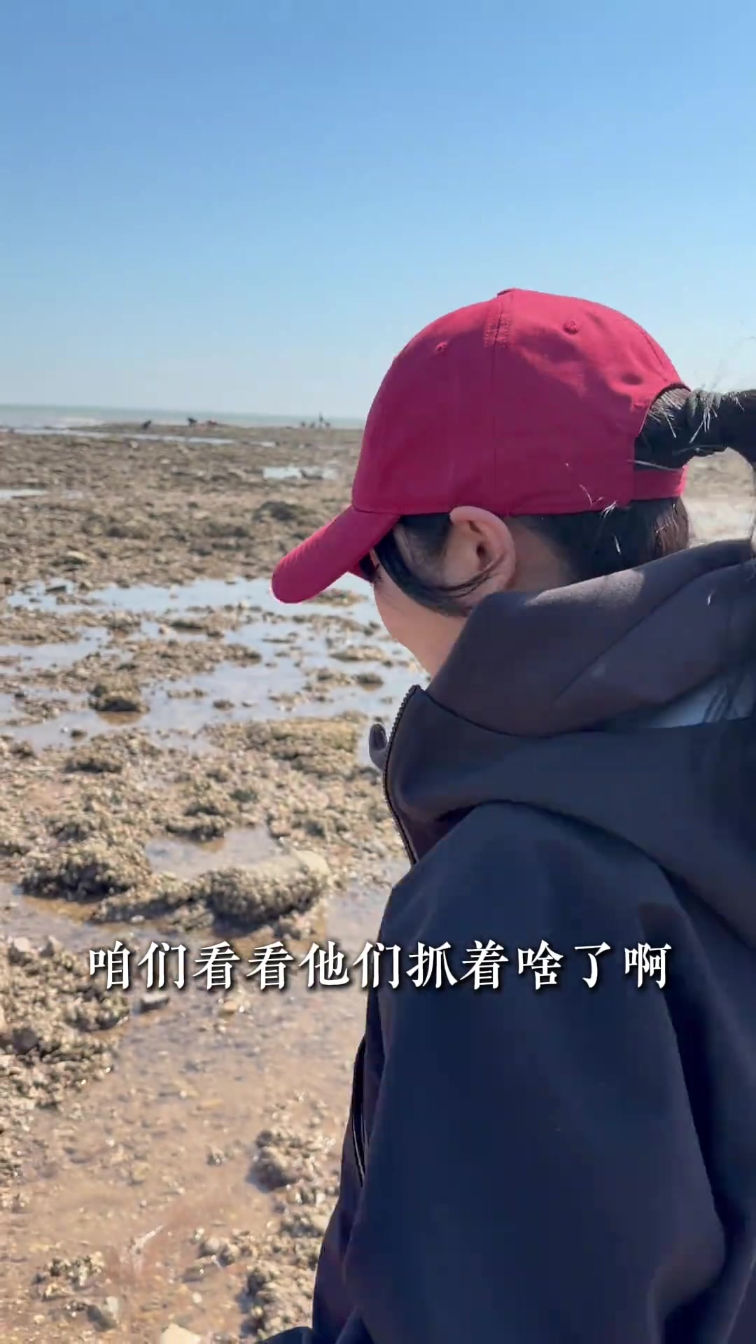 兴城民宿旁边发现新赶海地
