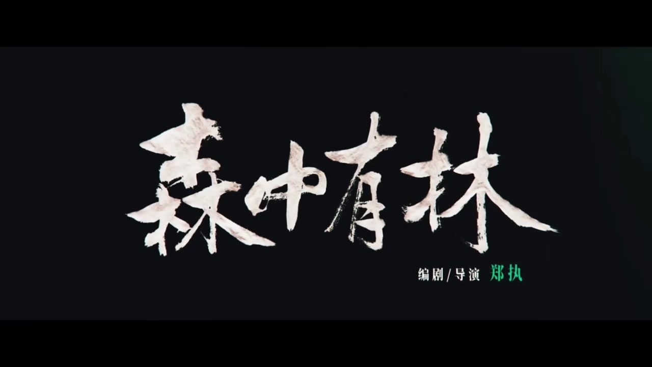 于和伟/高圆圆主演,犯罪悬疑片《森中有林》定档五一