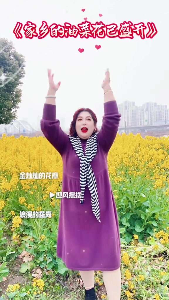 我的家乡油菜花盛开，金灿灿花瓣在风中摇曳