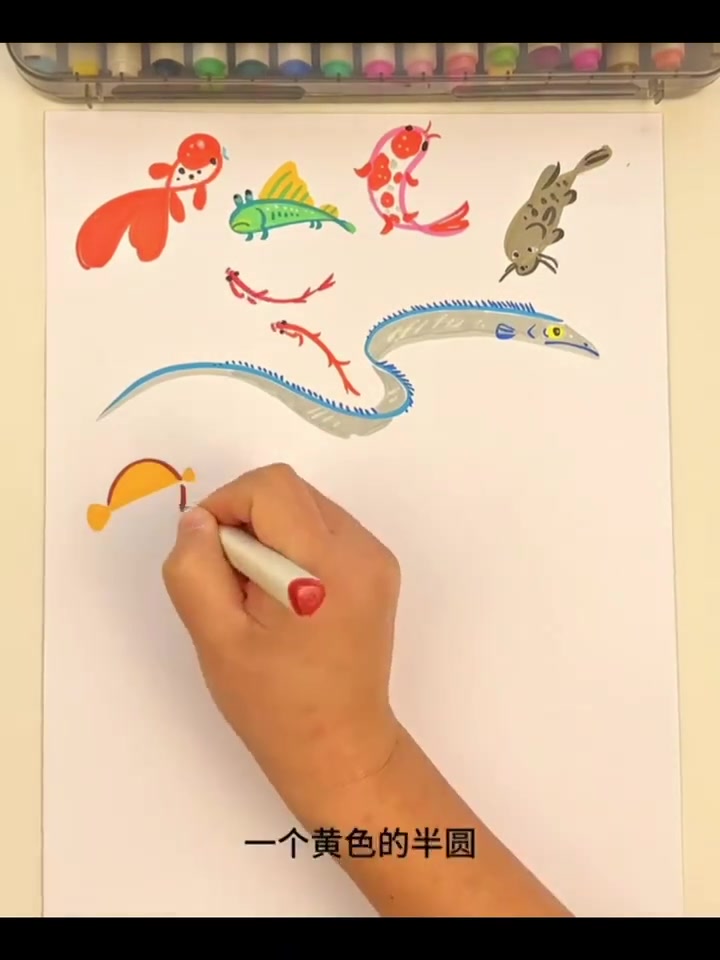新手画鱼教程,简单几步就能学会的画画方法