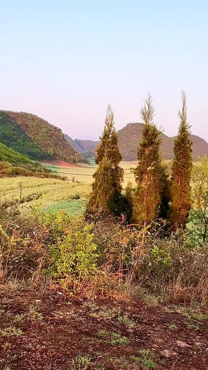 罗平金鸡峰丛的日出真的太绝了