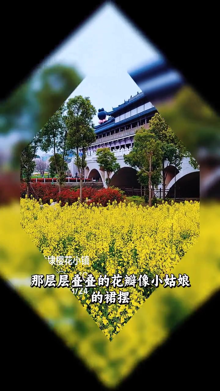 春天的油菜花田绝了 漫过天际像金色的海