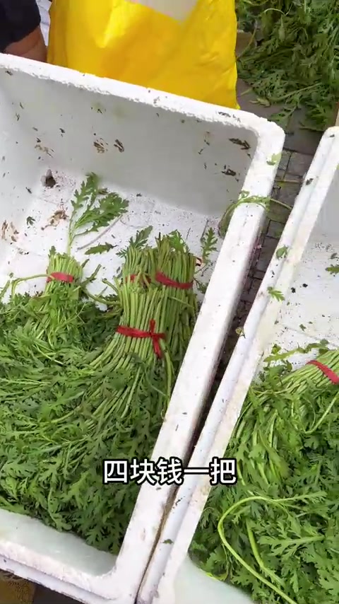 和乐爸赶呼和浩特早市，逛早市治愈，100块买很多东西